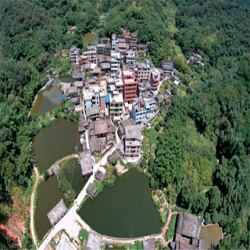 龍圩區(qū)龍圩區(qū)