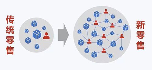 群站概念的本質(zhì)
